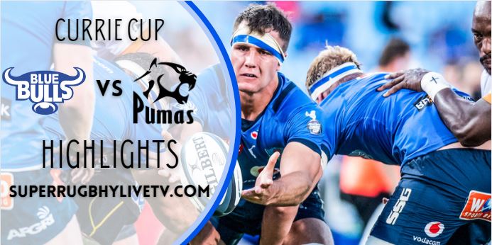 blue bulls vs pumas highlights