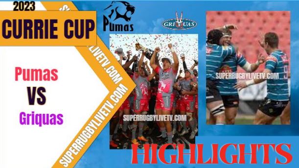 blue bulls vs pumas highlights