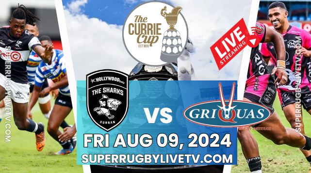 Sharks Vs Griquas Currie Cup Rd 6 Live Stream 2024: Full Replay