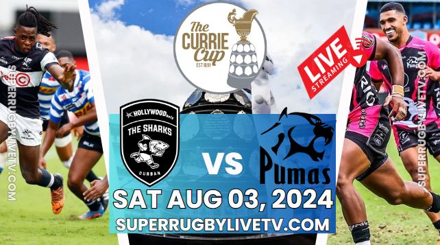 Sharks Vs Pumas Currie Cup Rd 5 Live Stream 2024: Full Replay