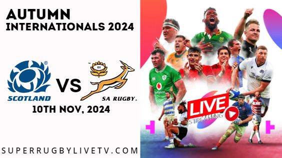 Scotland Vs South Africa Live Stream & Replay 2024: Autumn International Rugby