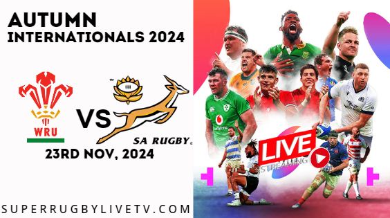 Wales Vs South Africa Live Stream & Replay 2024: Autumn International Rugby